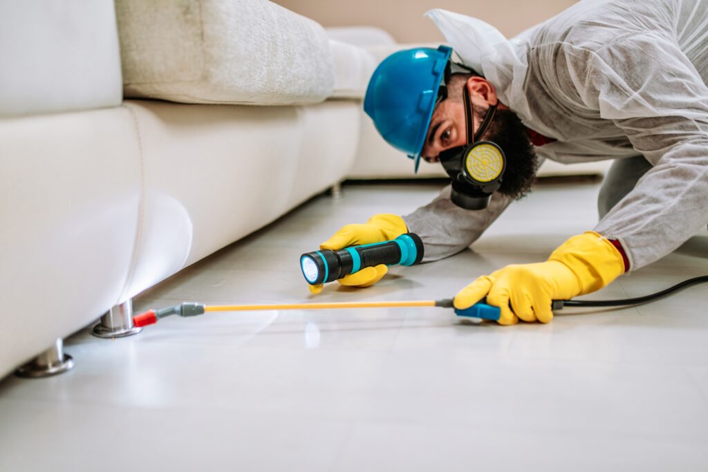 Schertz Termite Control