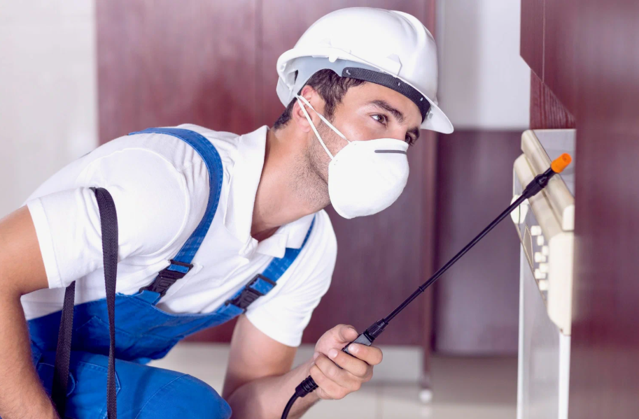 Schertz local pest services