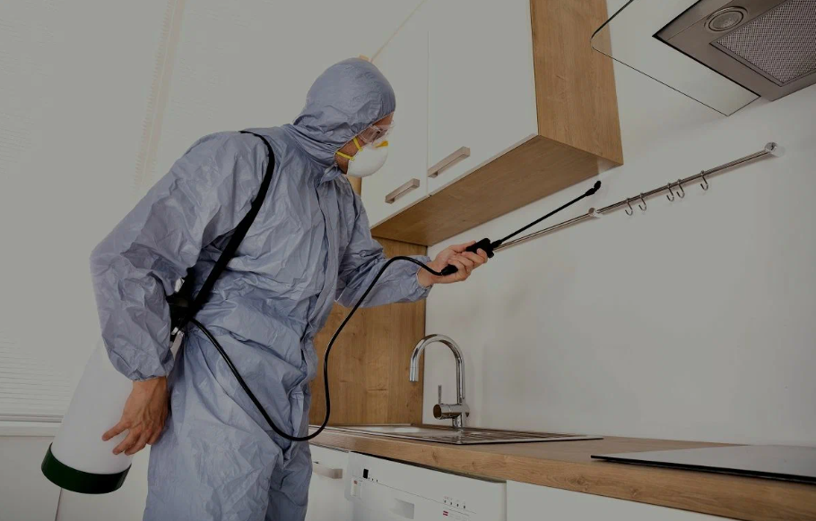 Schertz pest managment